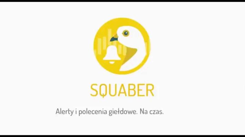 Opinie uczestników Squaber