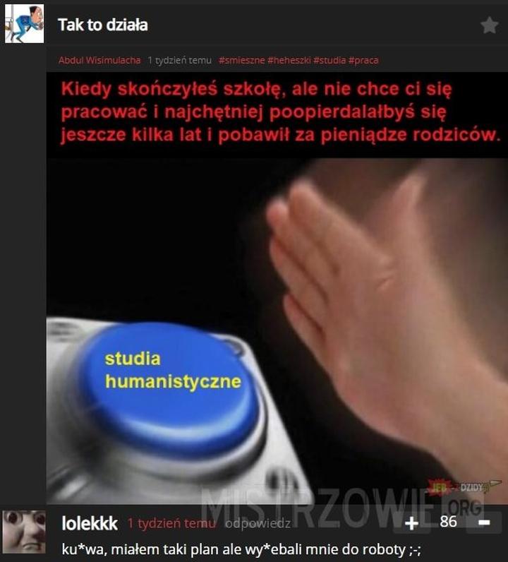 Programy interdyscyplinarne