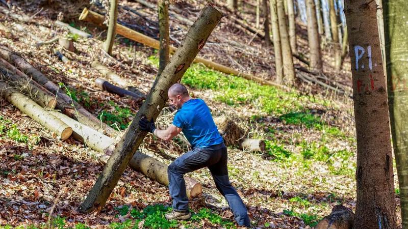 Kwalifikacje a wynagrodzenie leśniczego