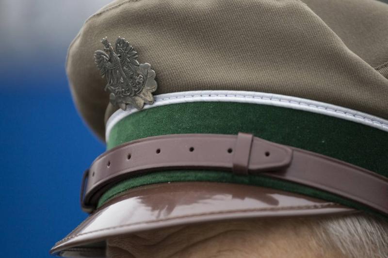 Zarobki leśniczego w Polsce