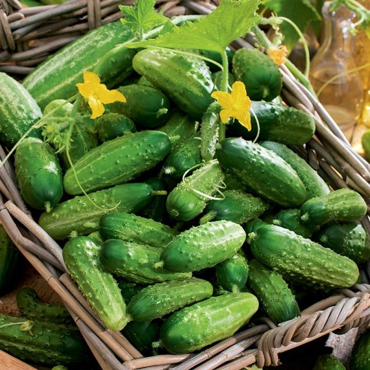 Ile zarabia promotor na studiach magisterskich i jakie ma wynagrodzenie za opiekę nad studentem?