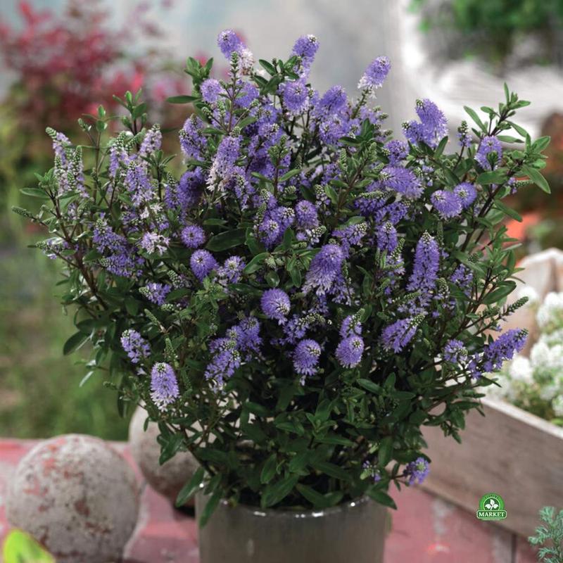 Opinie pracowników o zarobkach i atmosferze