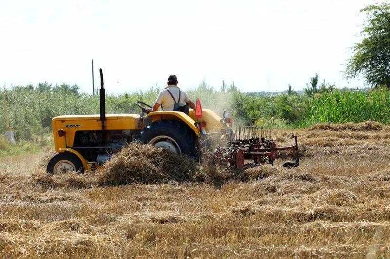 Zarobki rolników w Polsce