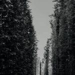 Ile naprawdę zarabia saper? Przegląd średnich zarobków w tej branży