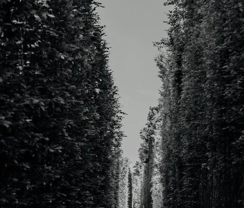 Ile naprawdę zarabia saper? Przegląd średnich zarobków w tej branży