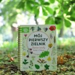 Twórz Zielnik do Szkoły Podstawowej: Praktyczny Przewodnik Krok po Kroku