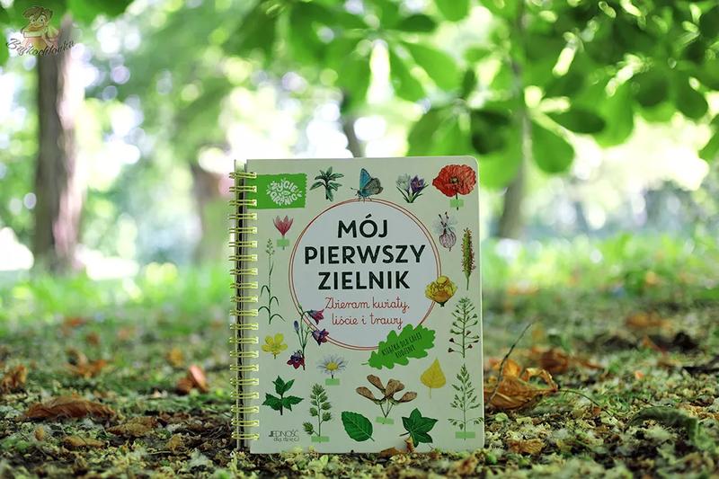 Twórz Zielnik do Szkoły Podstawowej: Praktyczny Przewodnik Krok po Kroku