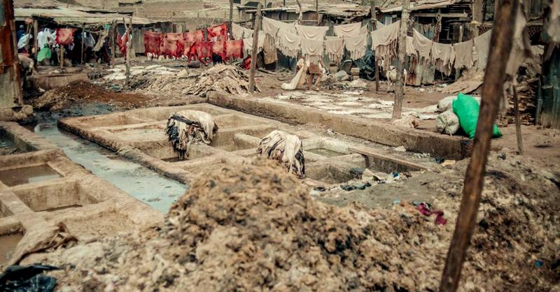 Dieta sołtysa w gminach