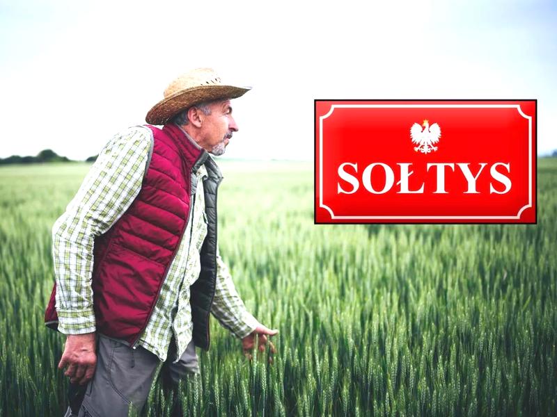 Wynagrodzenie sołtysa