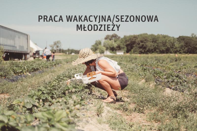 Możliwości zatrudnienia dla młodzieży