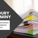 Jakie wykształcenie można wpisać w dokumentach – praktyczny przewodnik