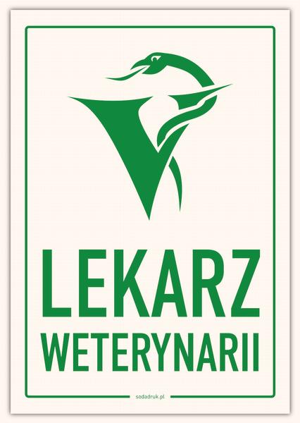 Czynników wpływających na pensję