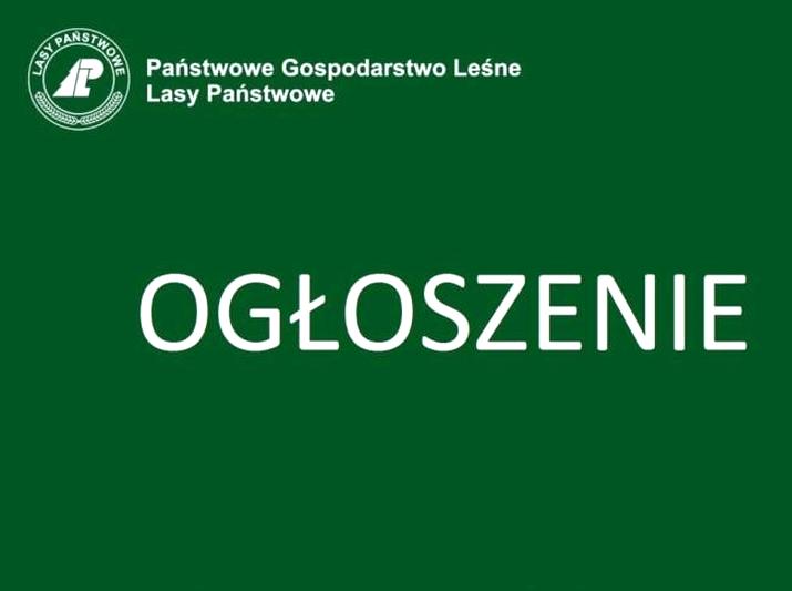 Kariera w leśnictwie