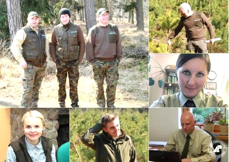 Ile zarabia podleśniczy? średnie zarobki i dodatki w leśnictwie